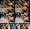Evenement foto: 1495