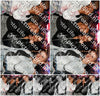 Evenement foto: 1504