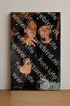 Evenement foto: 1505