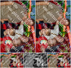 Evenement foto: 1509