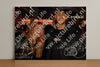 Evenement foto: 1509