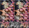 Evenement foto: AMR1594