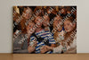 Evenement foto: AMR1594