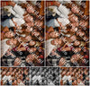 Evenement foto: AMR1595
