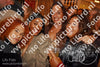 Evenement foto: AMR1595