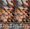 Evenement foto: AMR1595
