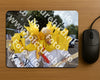 Evenement foto: AMR1598