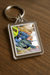 Evenement foto: 1645