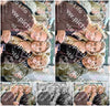 Evenement foto: 1647