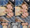 Evenement foto: 1648