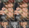 Evenement foto: 1649