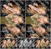 Evenement foto: 1650