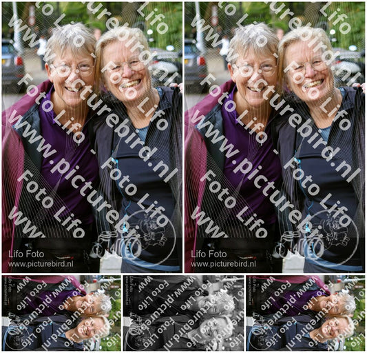 Evenement foto: 1215