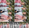 Evenement foto: 1215