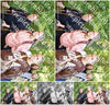 Evenement foto: 1393