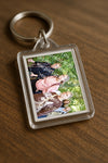Evenement foto: 1393