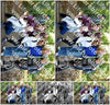 Evenement foto: 1394