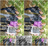 Evenement foto: 1394