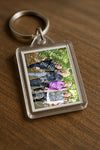 Evenement foto: 1394
