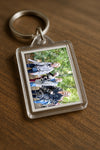 Evenement foto: 1395