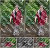Evenement foto: 1414