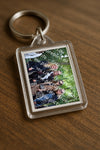 Evenement foto: 1414