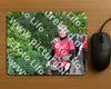 Evenement foto: 1415