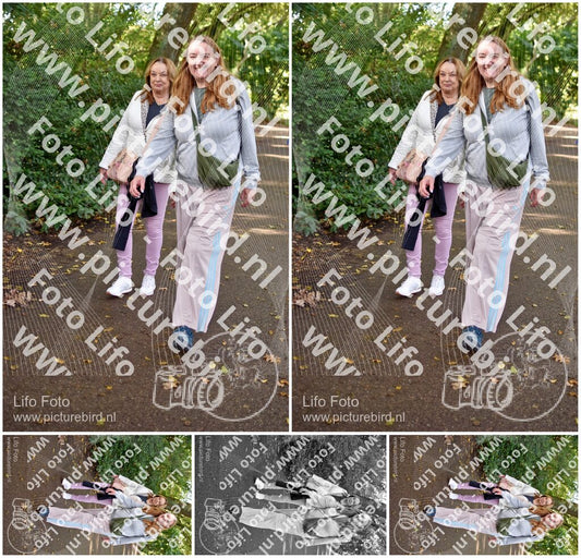 Evenement foto: 1417