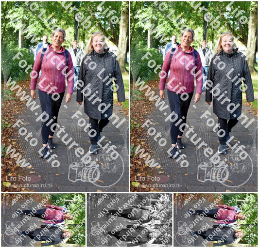Evenement foto: 1419
