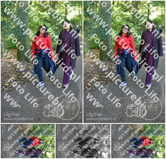 Evenement foto: 262