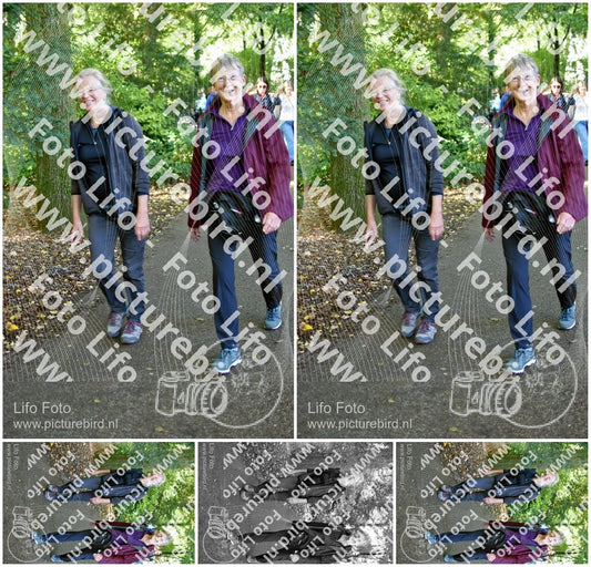 Evenement foto: 262