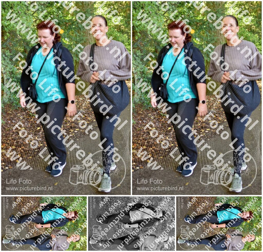 Evenement foto: 262
