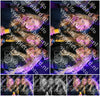 Evenement foto: ZUN 1679