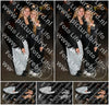 Evenement foto: ZUN 1680
