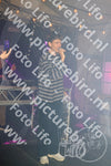 Evenement foto: PEN 17