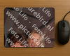 Evenement foto: PEN 17
