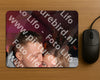 Evenement foto: PEN 17
