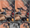 Evenement foto: PEN 20