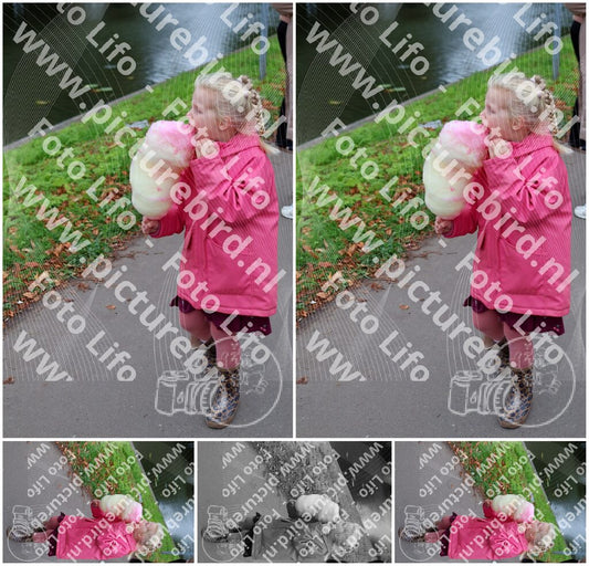 Evenement foto: 1453