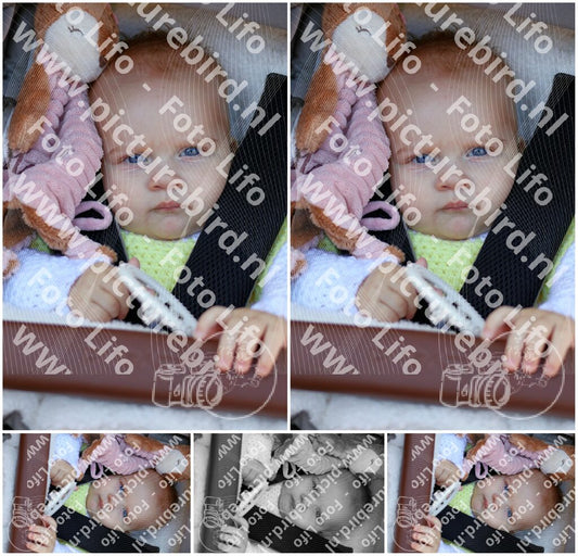 Evenement foto: 1403