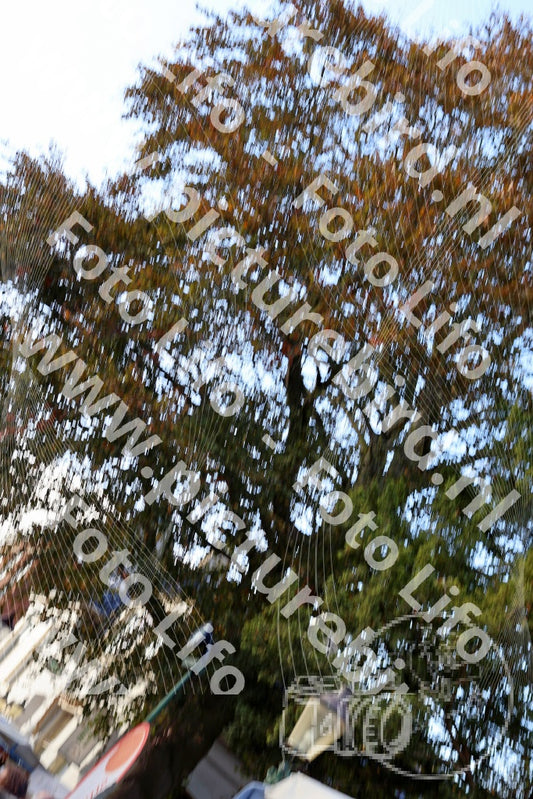 Evenement foto: 1404