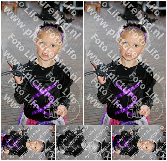 Evenement foto: 1408