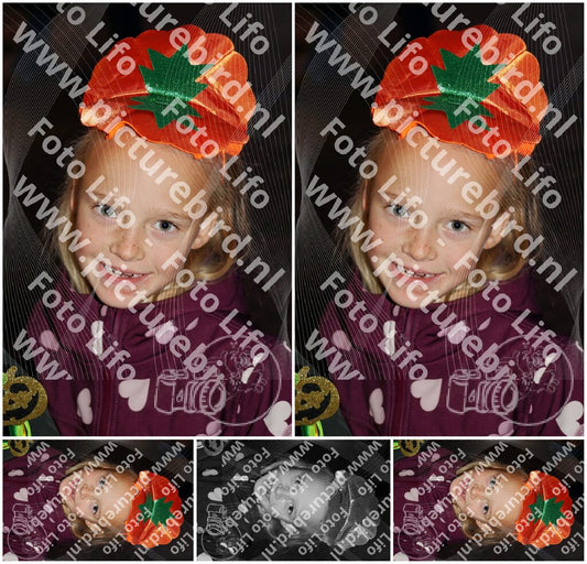 Evenement foto: 1408