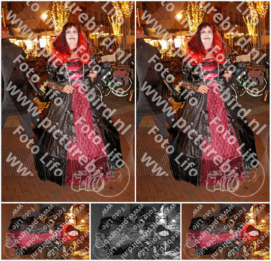 Evenement foto: 14101420